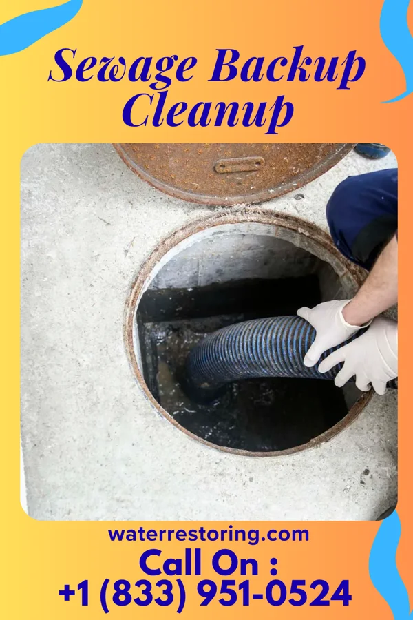 Sewage Backup Cleanup in Scottsbluff, NE